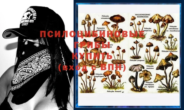 твердый Переславль-Залесский