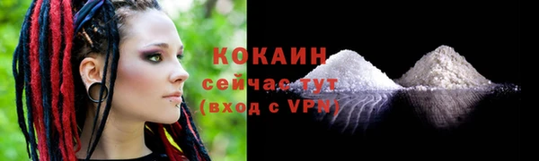 твердый Переславль-Залесский