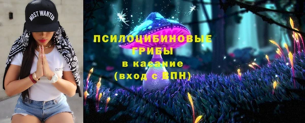 сатива Покров