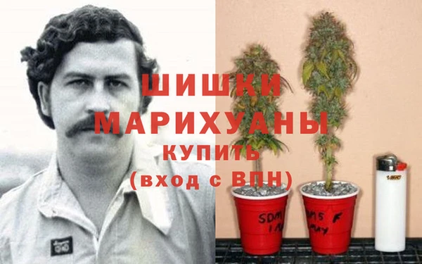 твердый Переславль-Залесский