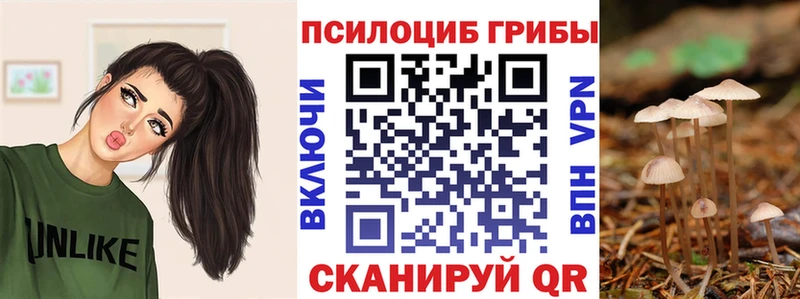 дарк нет телеграм  цена   Ковылкино  Псилоцибиновые грибы Cubensis 